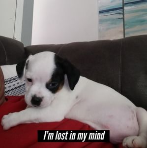 Meet your Posher, Mark